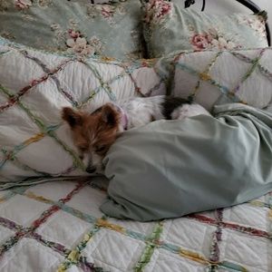 Meet your Posher, Hoagy